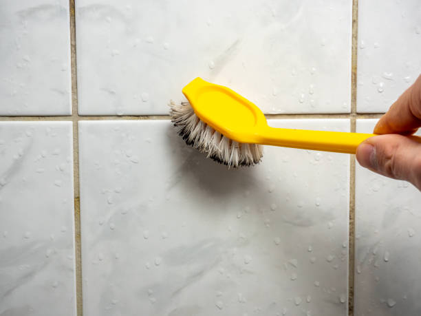 Best Mold Remediation for Schools in Garwood, NJ