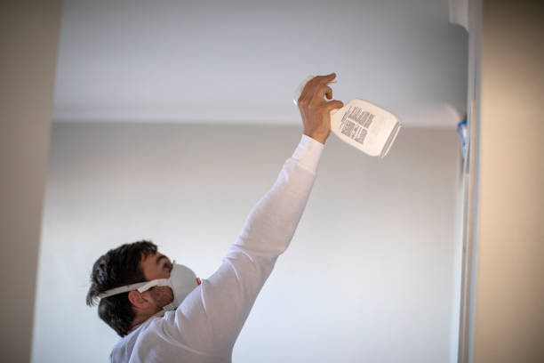 Professional Mold Remediation in Garwood, NJ