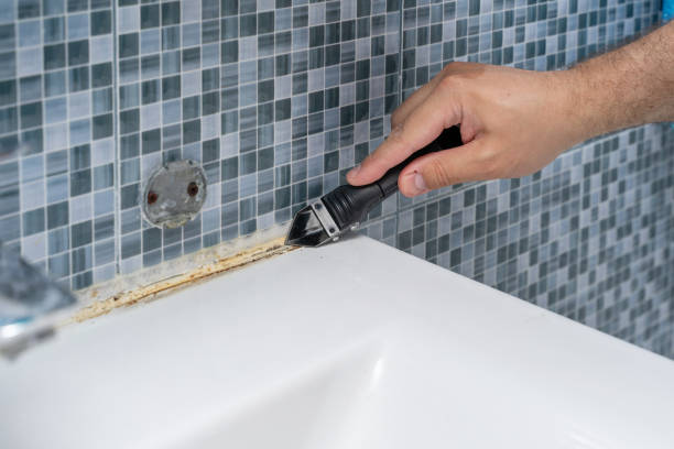 Best Kitchen Mold Remediation in Garwood, NJ